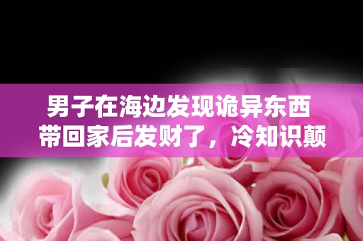男子在海边发现诡异东西 带回家后发财了，冷知识颠覆认知！男子海边捡诡异物竟藏惊天秘密，令人目瞪口呆！