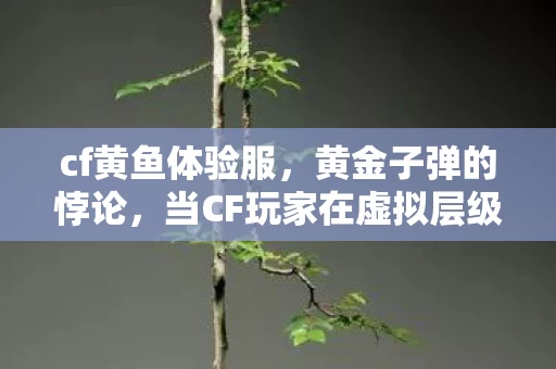 cf黄鱼体验服,黄金子弹的悖论,当CF玩家在虚拟层级中同时成为神明与蝼蚁 cf黄鱼体验服,黄金子弹的悖论,当CF玩家在虚拟层级中同时成为神明与蝼蚁