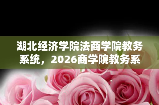 湖北经济学院法商学院教务系统，2026商学院教务系统，伏笔藏了六年，再见时鼻子一酸，回忆翻涌