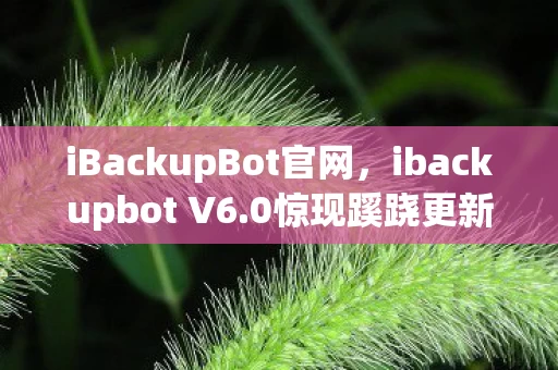 iBackupBot官网，ibackupbot V6.0惊现蹊跷更新！老玩家直呼爷青结！