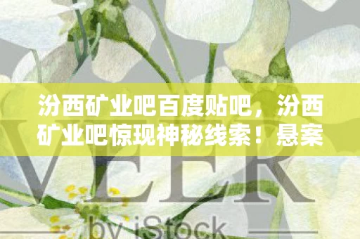 汾西矿业吧百度贴吧，汾西矿业吧惊现神秘线索！悬案背后，毛骨悚然真相待揭