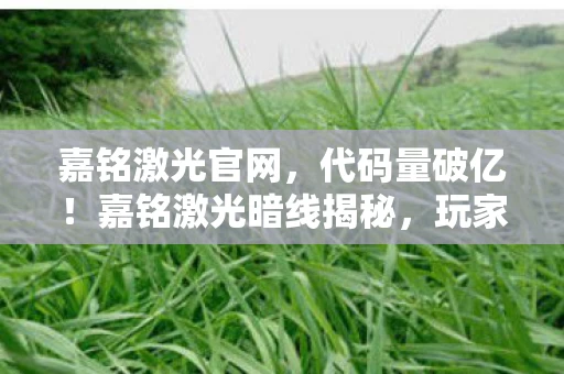 嘉铭激光官网,代码量破亿!嘉铭激光暗线揭秘,玩家行为触发头皮发麻的数字叛乱 嘉铭激光官网,代码量破亿!嘉铭激光暗线揭秘,玩家行为触发头皮发麻的数字叛乱