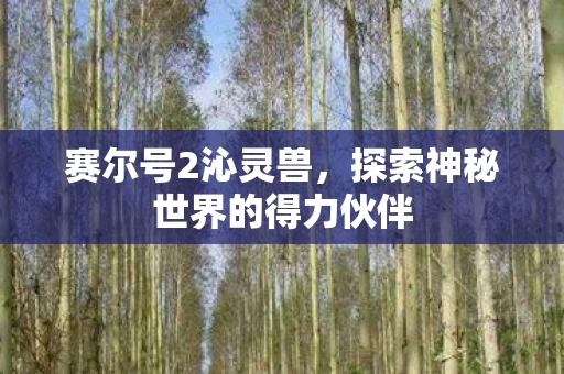 探索神秘世界的得力伙伴图片