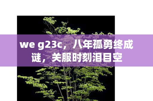 we g23c,八年孤勇终成谜,关服时刻泪目空 we g23c,八年孤勇终成谜,关服时刻泪目空