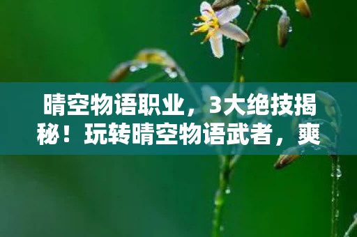 晴空物语职业,3大绝技揭秘!玩转晴空物语武者,爽到飞起的体验心得! 晴空物语职业,3大绝技揭秘!玩转晴空物语武者,爽到飞起的体验心得!
