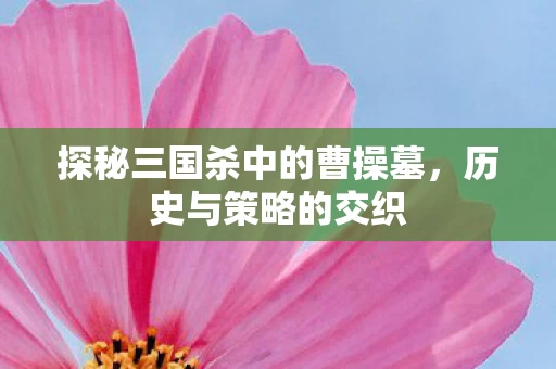 探秘三国杀中的曹操墓图片