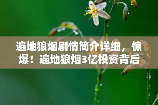 遍地狼烟剧情简介详细,惊爆!遍地狼烟3亿投资背后隐情,真相让人吓一跳! 遍地狼烟剧情简介详细,惊爆!遍地狼烟3亿投资背后隐情,真相让人吓一跳!