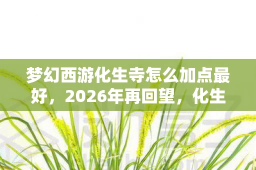 梦幻西游化生寺怎么加点最好,2026年再回望,化生寺加点伏笔里,藏着鼻子一酸的旧时光 梦幻西游化生寺怎么加点最好,2026年再回望,化生寺加点伏笔里,藏着鼻子一酸的旧时光