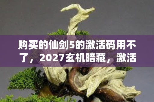 购买的仙剑5的激活码用不了，2027玄机暗藏，激活码的沉默倒计时，这游戏究竟给了我什么？