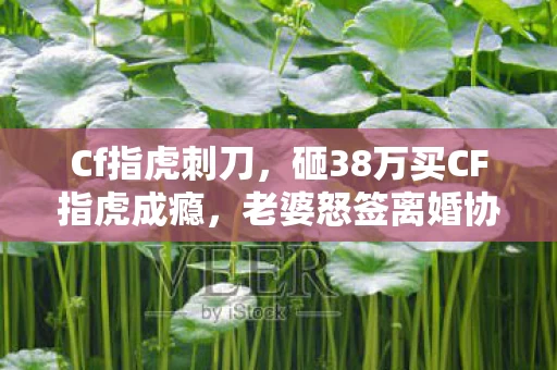 Cf指虎刺刀,砸38万买CF指虎成瘾,老婆怒签离婚协议,这隐情让我吓一跳! Cf指虎刺刀,砸38万买CF指虎成瘾,老婆怒签离婚协议,这隐情让我吓一跳!