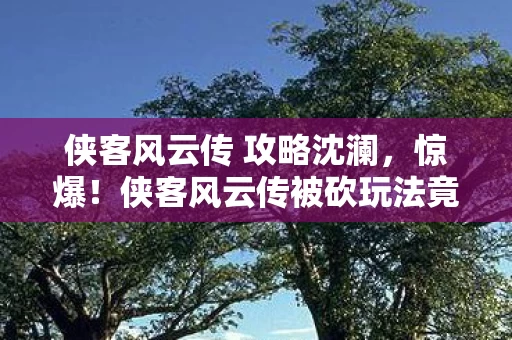 侠客风云传 攻略沈澜，惊爆！侠客风云传被砍玩法竟值500万？背后隐情让人吓一跳！