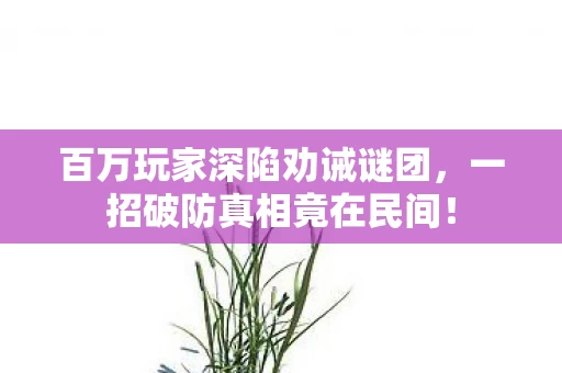 百万玩家深陷劝诫谜团,一招破防真相竟在民间! 百万玩家深陷劝诫谜团,一招破防真相竟在民间!