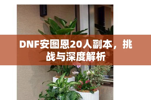 DNF安图恩20人副本图片