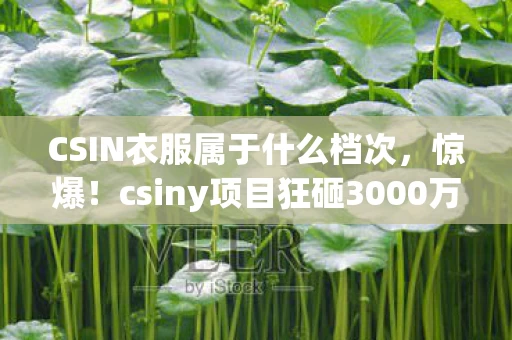 CSIN衣服属于什么档次,惊爆!csiny项目狂砸3000万,背后隐情曝光,结果让人吓一跳! CSIN衣服属于什么档次,惊爆!csiny项目狂砸3000万,背后隐情曝光,结果让人吓一跳!