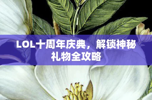 解锁神秘礼物全攻略图片