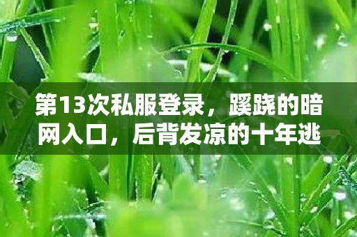 第13次私服登录,蹊跷的暗网入口,后背发凉的十年逃亡 第13次私服登录,蹊跷的暗网入口,后背发凉的十年逃亡