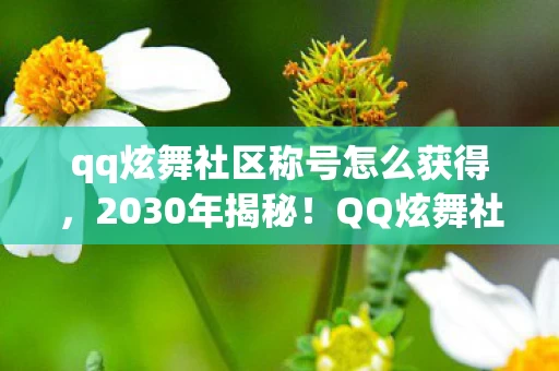 qq炫舞社区称号怎么获得，2030年揭秘！QQ炫舞社区称号背后，隐藏着怎样的震撼真相？