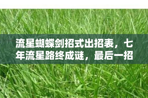 流星蝴蝶剑招式出招表,七年流星路终成谜,最后一招泪目谢幕时 流星蝴蝶剑招式出招表,七年流星路终成谜,最后一招泪目谢幕时