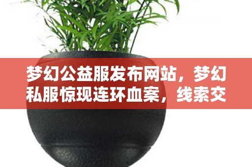 梦幻公益服发布网站,梦幻私服惊现连环血案,线索交织成悬案,毛骨悚然真相待揭 梦幻公益服发布网站,梦幻私服惊现连环血案,线索交织成悬案,毛骨悚然真相待揭