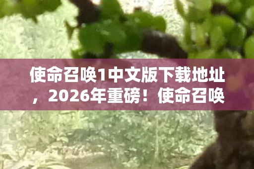 使命召唤1中文版下载地址,2026年重磅!使命召唤1中文版下载量将破亿?真相令人咋舌! 使命召唤1中文版下载地址,2026年重磅!使命召唤1中文版下载量将破亿?真相令人咋舌!