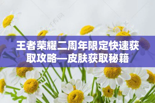 王者荣耀二周年限定快速获取攻略图片