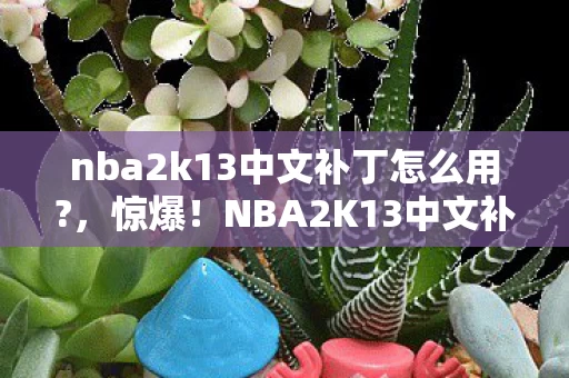 nba2k13中文补丁怎么用?，惊爆！NBA2K13中文补丁竟藏着3大隐藏彩蛋？玩家直呼过瘾！