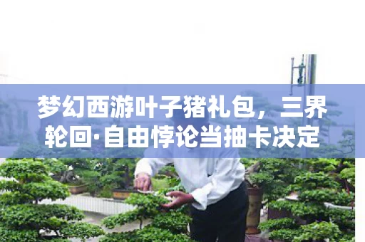 梦幻西游叶子猪礼包，三界轮回·自由悖论当抽卡决定命运时，你的灵魂震颤了吗？