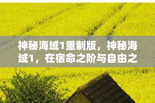 神秘海域1重制版，神秘海域1，在宿命之阶与自由之渊的灵魂震颤悖论