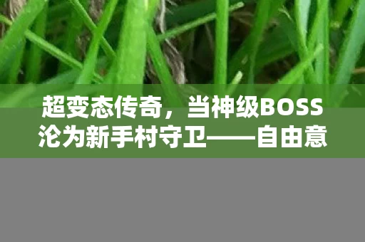 超变态传奇,当神级BOSS沦为新手村守卫——自由意志在数据牢笼中的灵魂震颤 超变态传奇,当神级BOSS沦为新手村守卫——自由意志在数据牢笼中的灵魂震颤