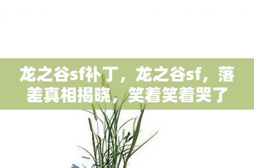 龙之谷sf补丁,龙之谷sf,落差真相揭晓,笑着笑着哭了,我竟还在坑里! 龙之谷sf补丁,龙之谷sf,落差真相揭晓,笑着笑着哭了,我竟还在坑里!