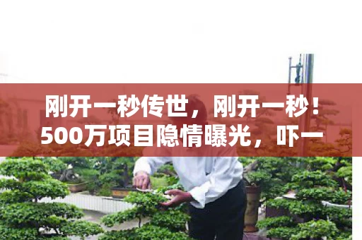 刚开一秒传世,刚开一秒!500万项目隐情曝光,吓一跳!离职老兵掀桌揭黑幕 刚开一秒传世,刚开一秒!500万项目隐情曝光,吓一跳!离职老兵掀桌揭黑幕