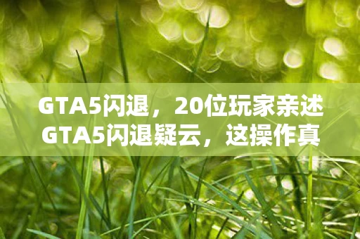 GTA5闪退，20位玩家亲述GTA5闪退疑云，这操作真让人绷不住了！