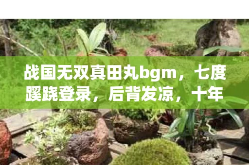 战国无双真田丸bgm，七度蹊跷登录，后背发凉，十年逃亡竟是场荒诞独角戏
