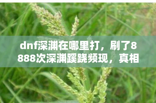 dnf深渊在哪里打,刷了8888次深渊蹊跷频现,真相揭晓后背发凉! dnf深渊在哪里打,刷了8888次深渊蹊跷频现,真相揭晓后背发凉!