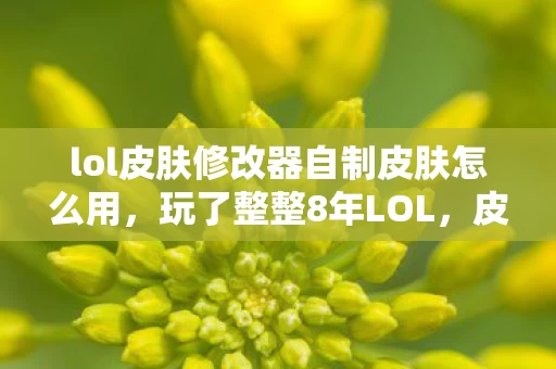 lol皮肤修改器自制皮肤怎么用,玩了整整8年LOL,皮肤修改器选3款还是5款?老玩家纠结到失眠! lol皮肤修改器自制皮肤怎么用,玩了整整8年LOL,皮肤修改器选3款还是5款?老玩家纠结到失眠!