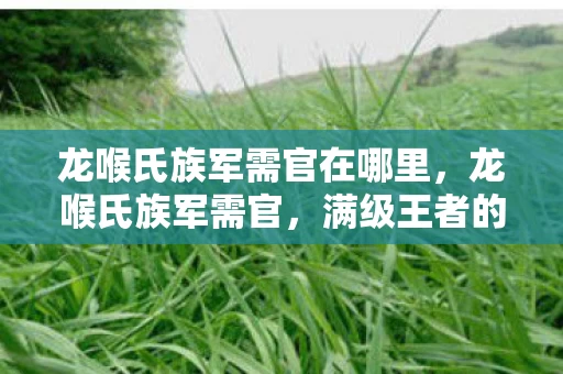 龙喉氏族军需官在哪里,龙喉氏族军需官,满级王者的荣耀阶梯,竟是现实废物的灵魂深渊? 龙喉氏族军需官在哪里,龙喉氏族军需官,满级王者的荣耀阶梯,竟是现实废物的灵魂深渊?