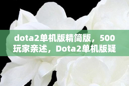 dota2单机版精简版，500玩家亲述，Dota2单机版疑点重重，这操作真绷不住了！