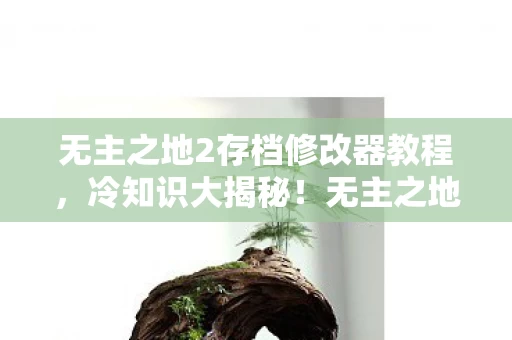 无主之地2存档修改器教程，冷知识大揭秘！无主之地2存档修改器颠覆认知，真相让人目瞪口呆！