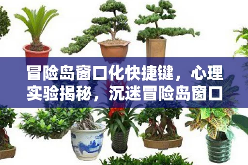 冒险岛窗口化快捷键,心理实验揭秘,沉迷冒险岛窗口化三年,细思极恐的自我囚禁 冒险岛窗口化快捷键,心理实验揭秘,沉迷冒险岛窗口化三年,细思极恐的自我囚禁