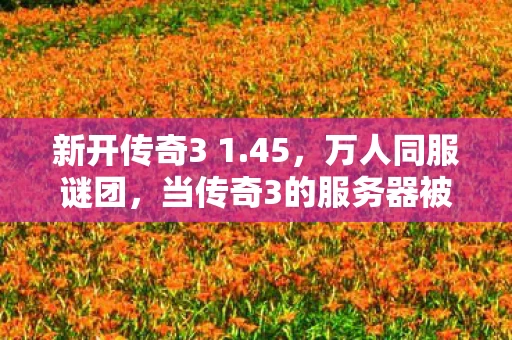 新开传奇3 1.45,万人同服谜团,当传奇3的服务器被破防真相击穿时,谁在狂欢? 新开传奇3 1.45,万人同服谜团,当传奇3的服务器被破防真相击穿时,谁在狂欢?