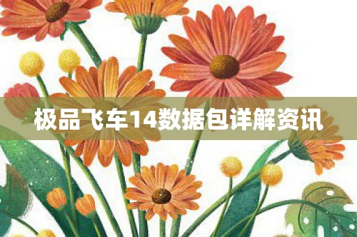 极品飞车14数据包详解资讯图片