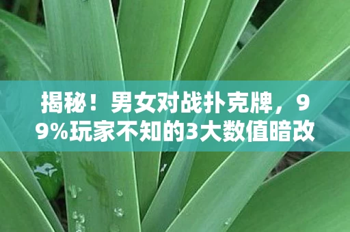 揭秘!男女对战扑克牌,99%玩家不知的3大数值暗改真相 揭秘!男女对战扑克牌,99%玩家不知的3大数值暗改真相