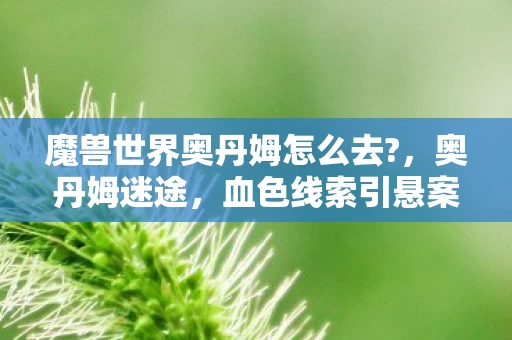 魔兽世界奥丹姆怎么去?,奥丹姆迷途,血色线索引悬案,毛骨悚然自掘坟 魔兽世界奥丹姆怎么去?,奥丹姆迷途,血色线索引悬案,毛骨悚然自掘坟