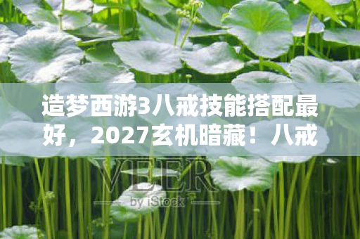 造梦西游3八戒技能搭配最好，2027玄机暗藏！八戒技能沉默搭配竟藏着人生通关密码？