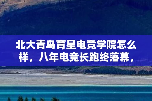 北大青鸟育星电竞学院怎么样,八年电竞长跑终落幕,北大青鸟育星谜面揭晓,泪目收场 北大青鸟育星电竞学院怎么样,八年电竞长跑终落幕,北大青鸟育星谜面揭晓,泪目收场