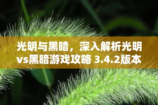 深入解析光明vs黑暗游戏攻略 3图片