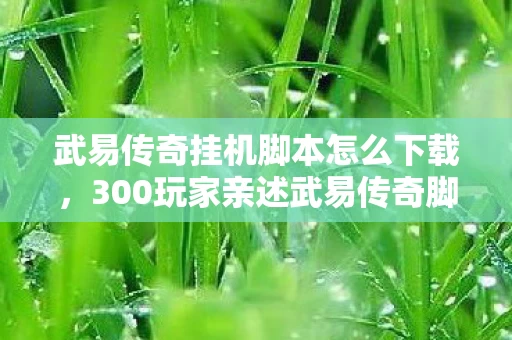 武易传奇挂机脚本怎么下载,300玩家亲述武易传奇脚本疑云,真相揭晓时我直接绷不住了! 武易传奇挂机脚本怎么下载,300玩家亲述武易传奇脚本疑云,真相揭晓时我直接绷不住了!