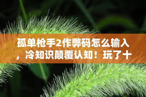 孤单枪手2作弊码怎么输入,冷知识颠覆认知!玩了十年孤单枪手2的我竟目瞪口呆 孤单枪手2作弊码怎么输入,冷知识颠覆认知!玩了十年孤单枪手2的我竟目瞪口呆