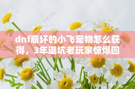 dnf崩坏的小飞宠物怎么获得,3年退坑老玩家惊爆回归!崩坏小飞竟藏着DNF终极秘密? dnf崩坏的小飞宠物怎么获得,3年退坑老玩家惊爆回归!崩坏小飞竟藏着DNF终极秘密?