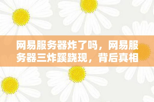 网易服务器炸了吗,网易服务器三炸蹊跷现,背后真相竟让人后背发凉! 网易服务器炸了吗,网易服务器三炸蹊跷现,背后真相竟让人后背发凉!